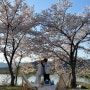 2022 행복했던 순간 :) 벚꽃 캠프닉