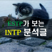 ESTP가 보는 INTP 분석글 INTP 특징 정리&심리상담 내용 인팁과 연애하는법
