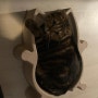 고양이 종이방석, 테디와 자양이가 환장하는 캣방