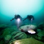 GUE Fundamentals Diver. GUE펀디 경험다이빙