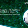 [실험노트] CloneSelect Imager FL 로 빠른 gene edited cell line 개발