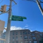 #12-IN NEWYORK(Bronx, Soho street)