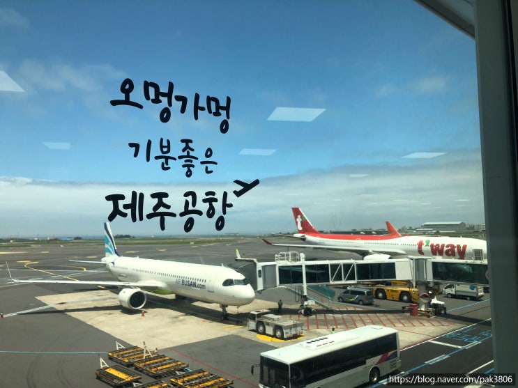 제주도닷컴 퍼시픽렌트카 가격비교 여행 코스와 꿀팁 및 후기포함 : 네이버 블로그