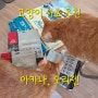 [고양이 사료 추천] 아카나 패시피카 캣, 오리젠 피트앤트림