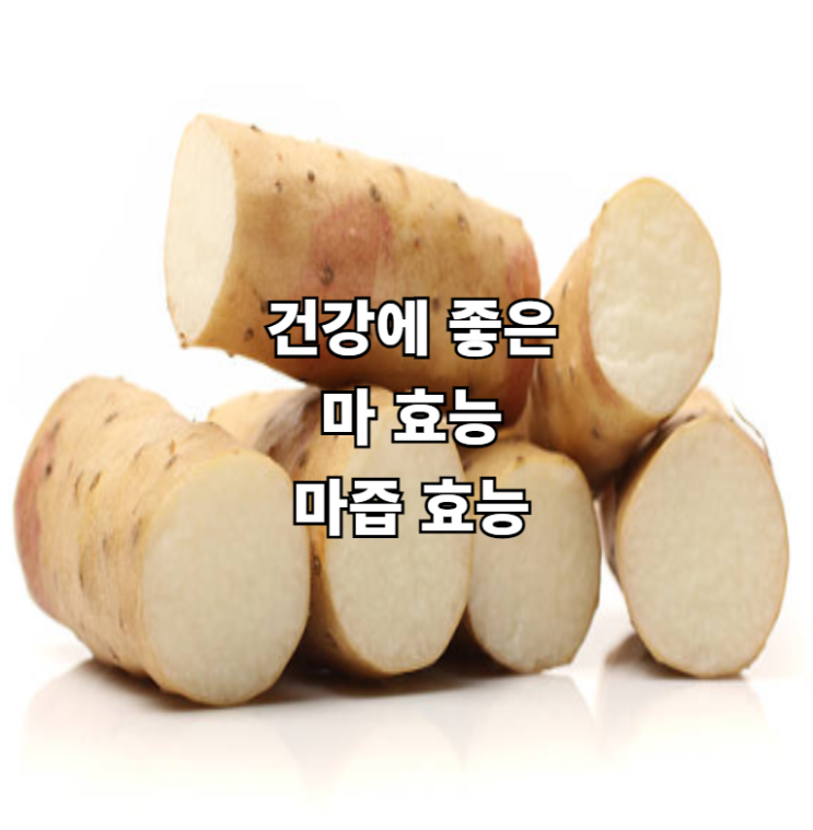 건강에 좋은 마 효능 및 마즙 효능에 대해서 알아볼게요 : 네이버 블로그