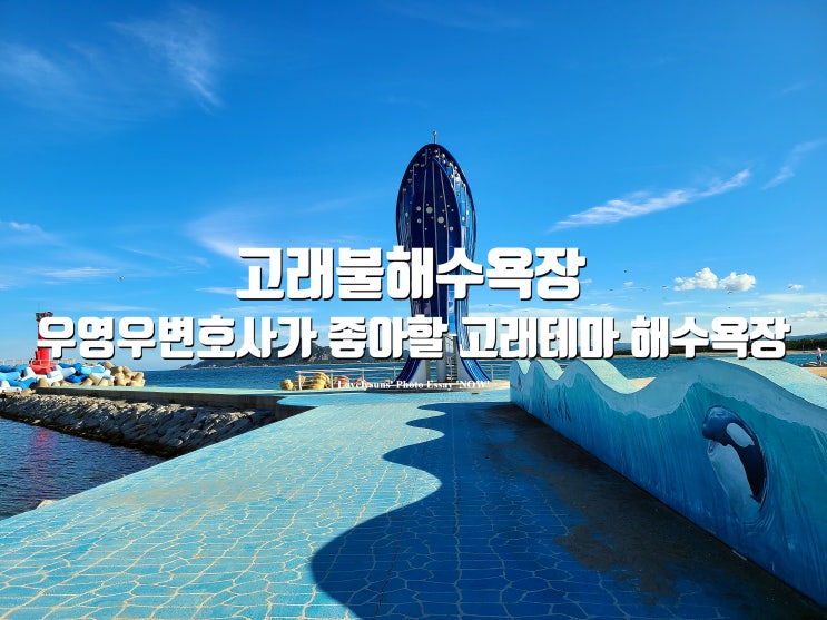 영덕 가볼만한곳 '고래불해수욕장' 우영우 변호사가 좋아할만한 고래뻘해수욕장 : 네이버 블로그