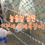 인천 아이와 가볼만한곳 늘솔길공원 양떼목장