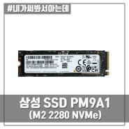 삼성전자 SSD PM9A1 (M.2 NVMe PCIe 4.0 1TB)