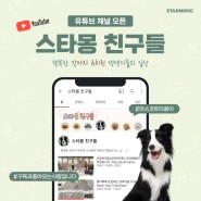 강아지유치원 "스타몽 친구들" 유튜브 채널 오픈