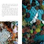 바다 생명체들의 '삶의 현장'