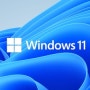 자격미달 컴퓨터에 Windows 11 업그레이드 하기