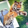 서울대공원 동물원 속 책마루 입구에 설치된 호랑이 트릭아트 입체벽화 그림 포토존 제작 시공