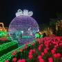 포천 허브아일랜드 불빛동화축제 아름다운 겨울밤