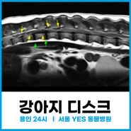 차이나북스 연출사진 선택