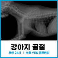 명성도어 최종_협찬 사진 로고제거_터닝도어 도어형태 수정