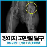 전자책표지_연출사진 (최종본)