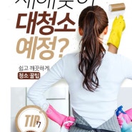[카드뉴스] 새해맞이 대청소 예정?…쉽고 깨끗하게! '청소 꿀팁'