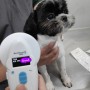 강아지 고양이 스페인 데려가기 : 스페인 동물검역 동물운송 건강증명서 광견병 항체가 검사 절차 비용