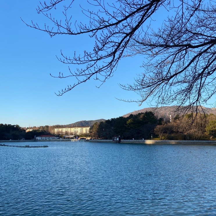 창원 가볼만한곳 용지 호수 공원 산책 데이트 코스로 딱