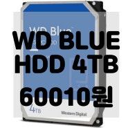 Western Digital WD 블루 하드 드라이브 HDD 8.89cm 4TB PC용 5400RPM SATA 6Gb/s 256MB 캐시 (WD40EZAZ)