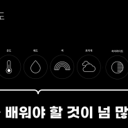 12. 스마트폰 사진 영상에서도 밝기와 색상은 중요해요. 갤럭시 아이폰 사진 강의 알렉의 포토테크키나