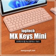 로지텍 MX Keys Mini 블루투스 텐키리스 무선 키보드 추천은 핑크