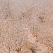 통도사 서운암