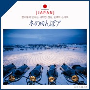 일본여행 추천 겨울 아오모리 순백의 논 아트 冬の田んぼア
