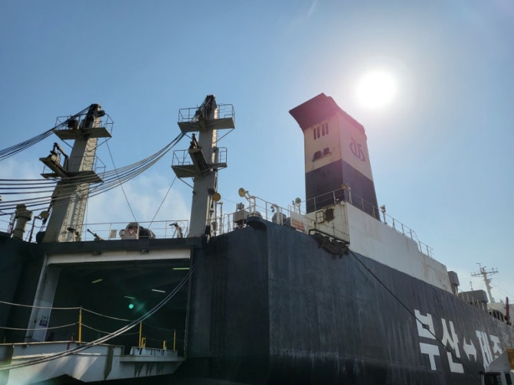 제주도에 내 차 가져가기 : 차량 탁송 선적 방법, 가격(부산-제주도) : 네이버 블로그
