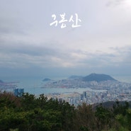 [부산 산행] 부산 구봉산 엄광산 등산코스 (feat. 신바람 누리길 트레킹)