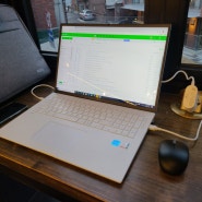 LG 그램 2022 17인치 노트북을 추천하는 이유 (17ZD95P-GX76K, 17Z95P-GA76K)
