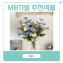 MBTI 대표 식물 추천 ESFJ 6월 꽃 샤스타데이지