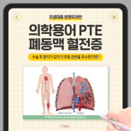 의학용어 PTE 폐동맥 혈전증 | 응급상황이에요!