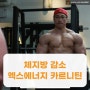 체지방연소 엑스에너지팻오브 카르니틴 추천!