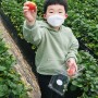 남양주 아이와가볼만한곳 딸기체험 더드림딸기체험농장
