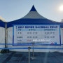 신속항원검사 자가진단키트 에스디바이오센서 정확도와 송파구 올림픽공원 선별진료소 변경 운영시간과 결과확인