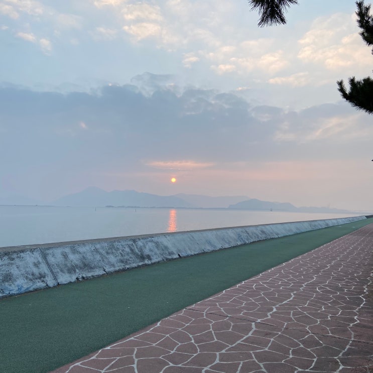 부산 강서구 가볼만한곳 명지 철새탐조대 갈맷길 일몰 산책...