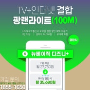 광랜라이트(100M)+뉴베이직디즈니플러스