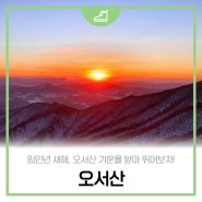 [홍성군 SNS 서포터즈] 임인년 새해, 오서산 기운을 받아 뛰어보자!