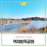 [홍성 가볼만한 곳]겨울 산책코스로 좋은 역재방죽공원