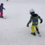 웰리힐리파크 스키강습 1대2 가격 이용후기!