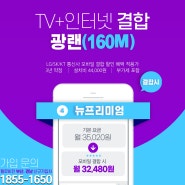 광랜(160M)+뉴프리미엄