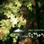 제4회 도봉평생학습박람회 후기_#5 기념 영상