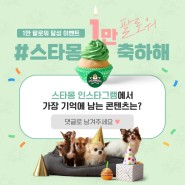스타몽 인스타그램 1만 팔로워 달성 이벤트