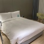 삼성역 가성비 좋은 강남 호텔 추천: 페이토 호텔 삼성(PEYTO HOTEL)
