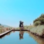 [섬이정원] 경남 남해 아름다운 정원｜남해 가볼 만한 곳, 포토존