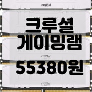 Crucial Ballistix 데스크탑 게이밍 메모리 키트 블랙 16GB (8GBx2) 3200 MHz DDR4 DRAM CL16 BL2K8G32