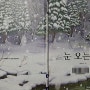 눈 오는 날 - 유아 그림책 추천