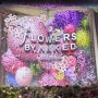 홍대 실내데이트 코스 플라워 바이 네이키드 Flowers by Naked
