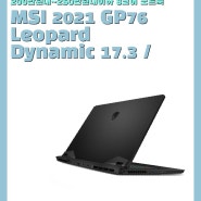 [200만원대~250만원대이하 8코어 노트북] MSI 2021 GP76 Leopard Dynamic 17.3 / MS-17K3
